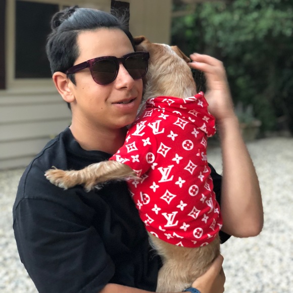 Dog Outfits Other Supreme Louis Vuitton Dog Hoodie Poshmark